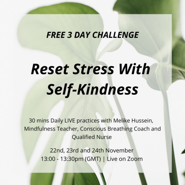 FREE 3 DAY CHALLENGE WITH MINDFULNESS AND BREATHWORK