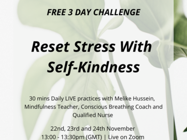 FREE 3 DAY CHALLENGE WITH MINDFULNESS AND BREATHWORK